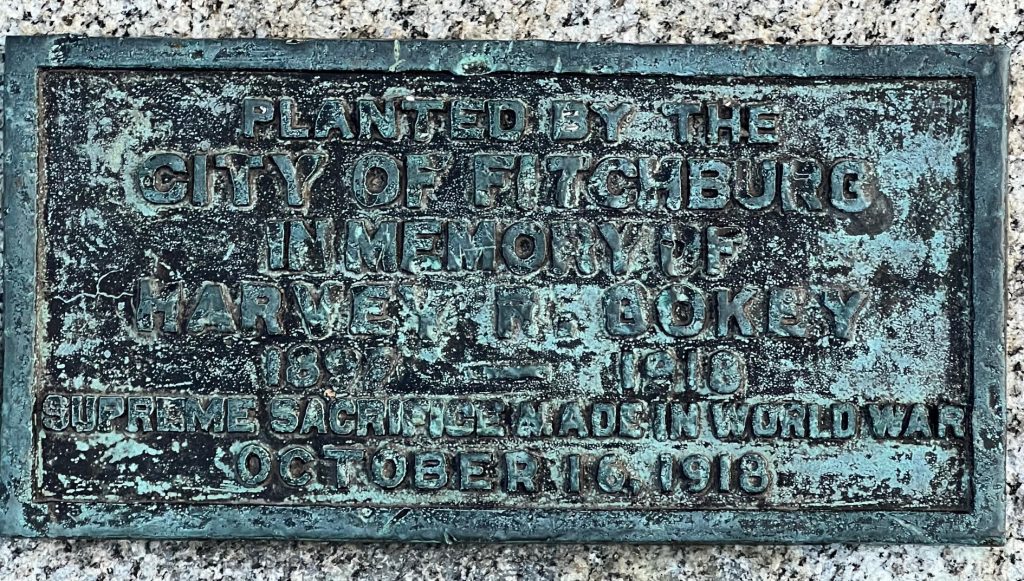 HARVEY R. GOKEY WAR MEMORIAL PLAQUE