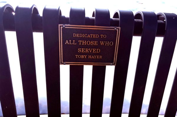 NAPERVILLE VETERANS MEMORIAL BENCH PLAQUE