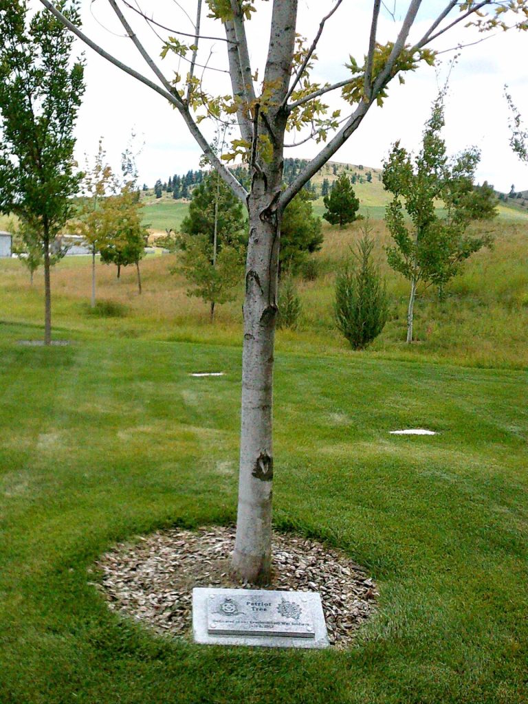 PATRIOT TREE DEDICATED TO THE REVOLUTIONARY WAR SOLDIERS