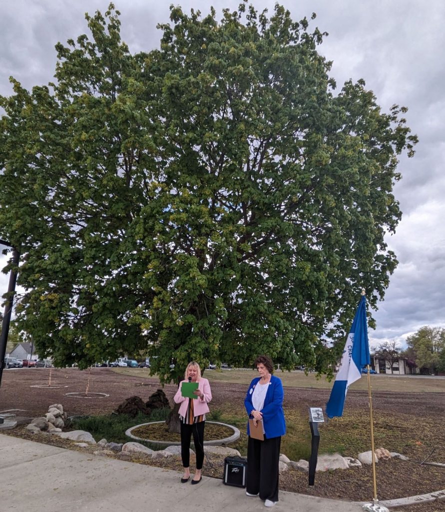 THE LIBERTY TREE REVOLUTIONARY WAR MEMORIAL