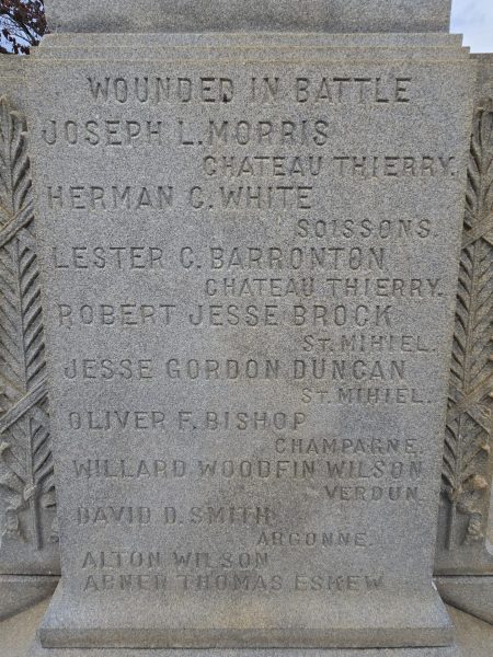 CAMPBELL COUNTY WORLD WAR MEMORIAL SIDE C