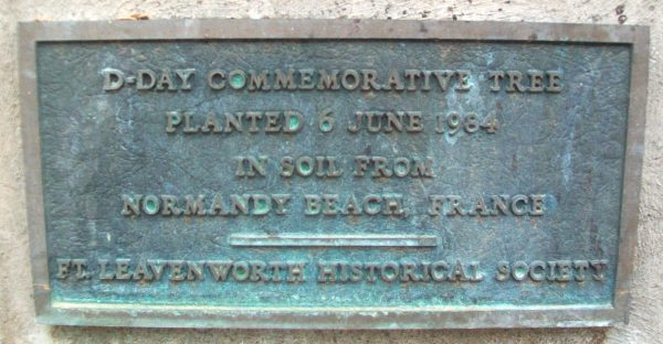 D-DAY COMMEMORATE TREE WAR MEMORIAL PLAQUE
