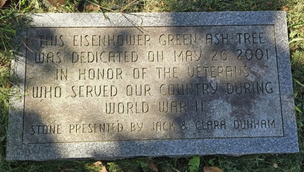 EISENHOWER GREEN ASH TREE WORLD WAR II MEMORIAL STONE