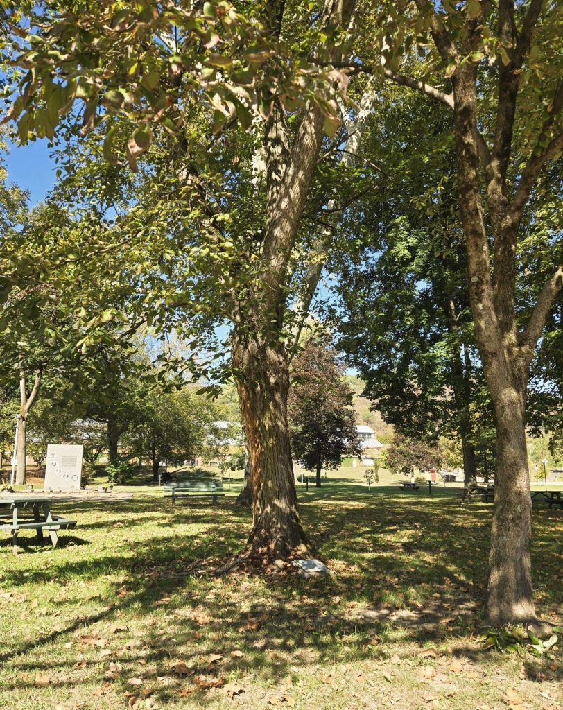 LIBERTY TREE MEMORIAL FORD CITY