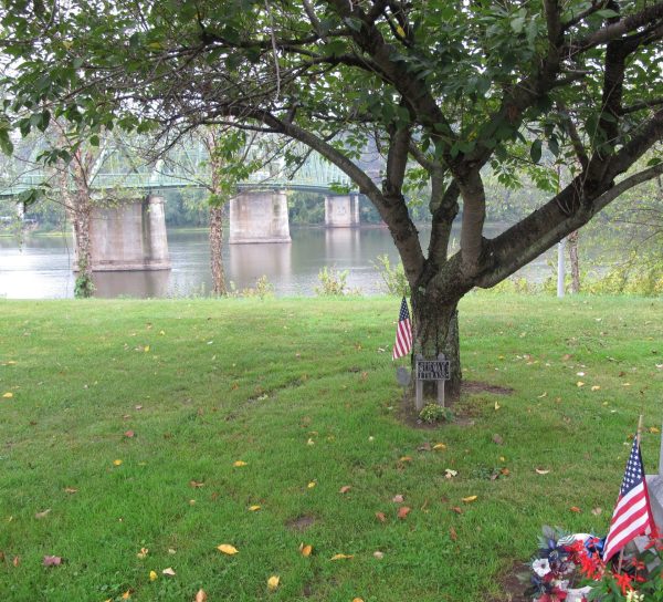 MEMORY OF WORLD WAR I VETERANS MEMORIAL TREE