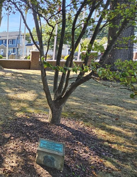 P.F.C. GARY W. THORNLOW WAR MEMORIAL TREE