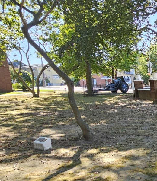 SP. 4 LOUIS E. PIZZUTO WAR MEMORIAL TREE