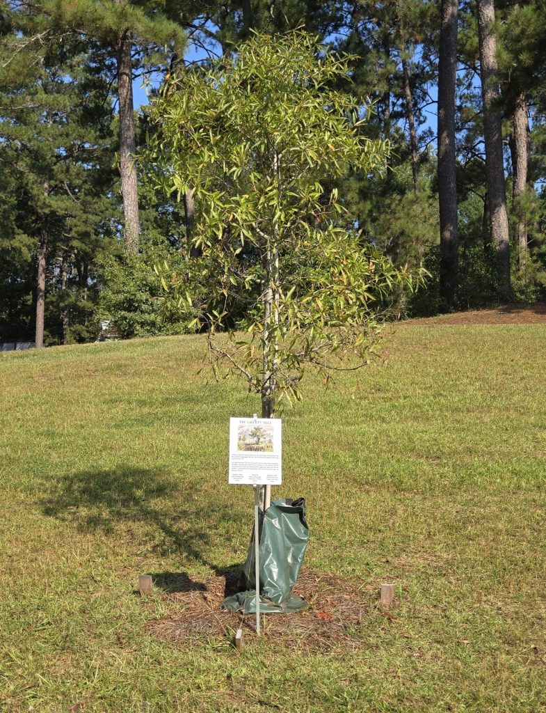 THE LIBERTY TREE MEMORIAL FAYETTEVILLE, GA