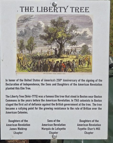 THE LIBERTY TREE MEMORIAL PLAQUE FAYETTEVILLE, GA