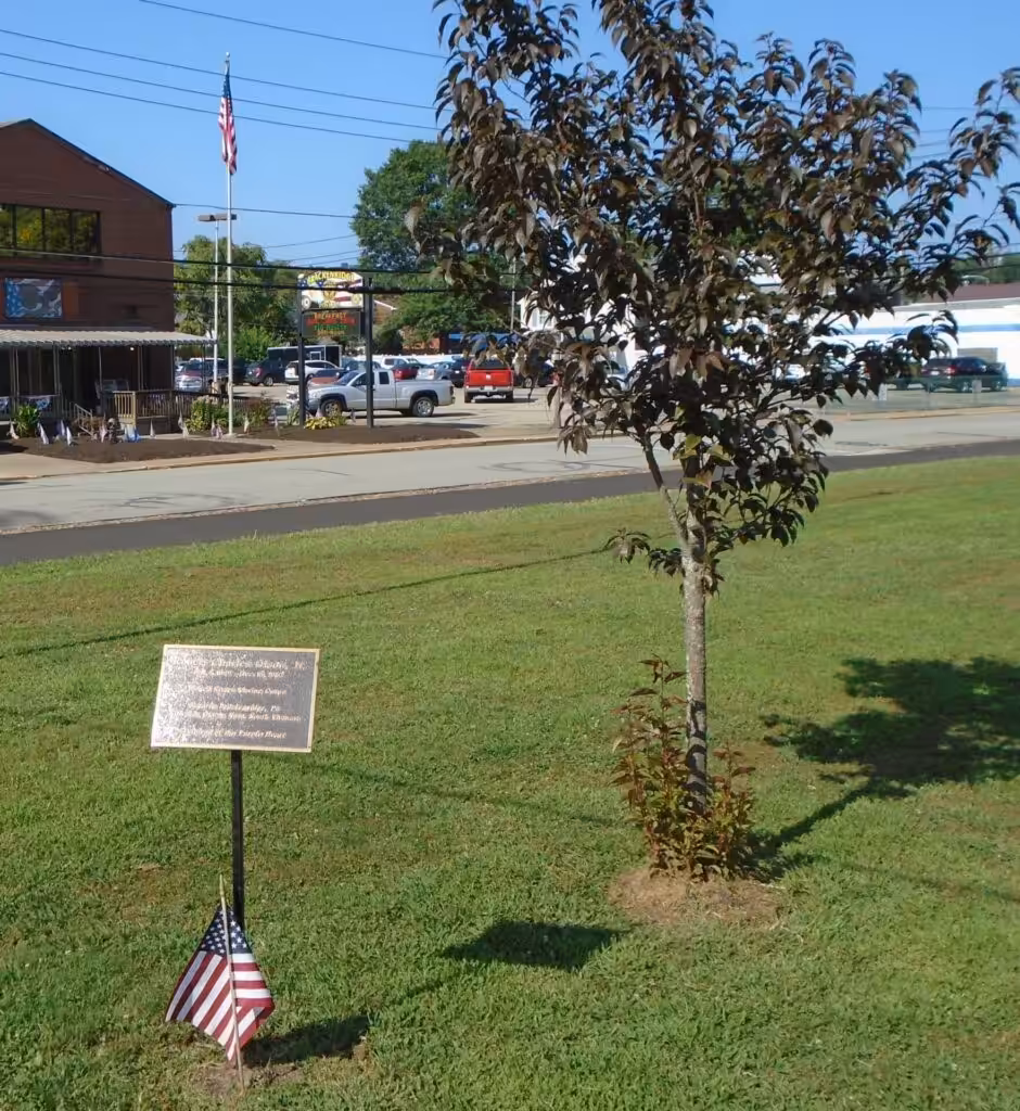 ROBERT CHARLES OLSON, JR. WAR MEMORIAL TREE