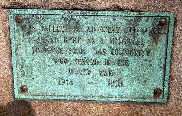 MARQUETTE PARK WORLD WAR MEMORIAL ELM TREE PLAQUE