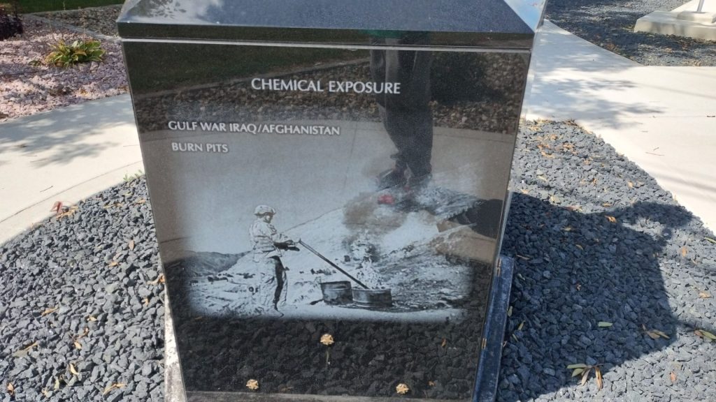 PHYSICAL OR MENTAL ILLNESS WAR MEMORIAL SIDE C