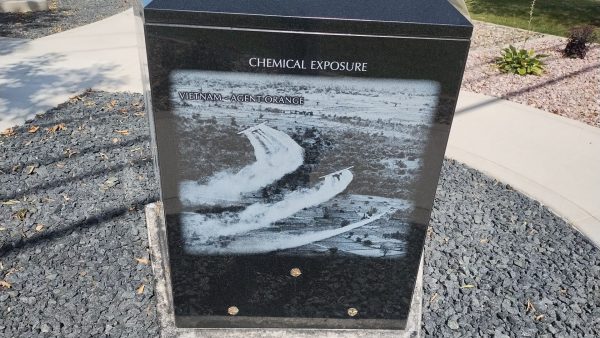 PHYSICAL OR MENTAL ILLNESS WAR MEMORIAL SIDE D