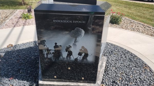 PHYSICAL OR MENTAL ILLNESS WAR MEMORIAL SIDE E