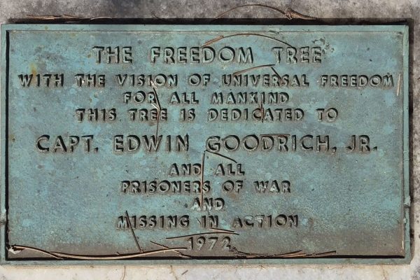 THE FREEDOM TREE CAPT. EDWIN GOODRICH, JR. WAR MEMORIAL PLAQUE
