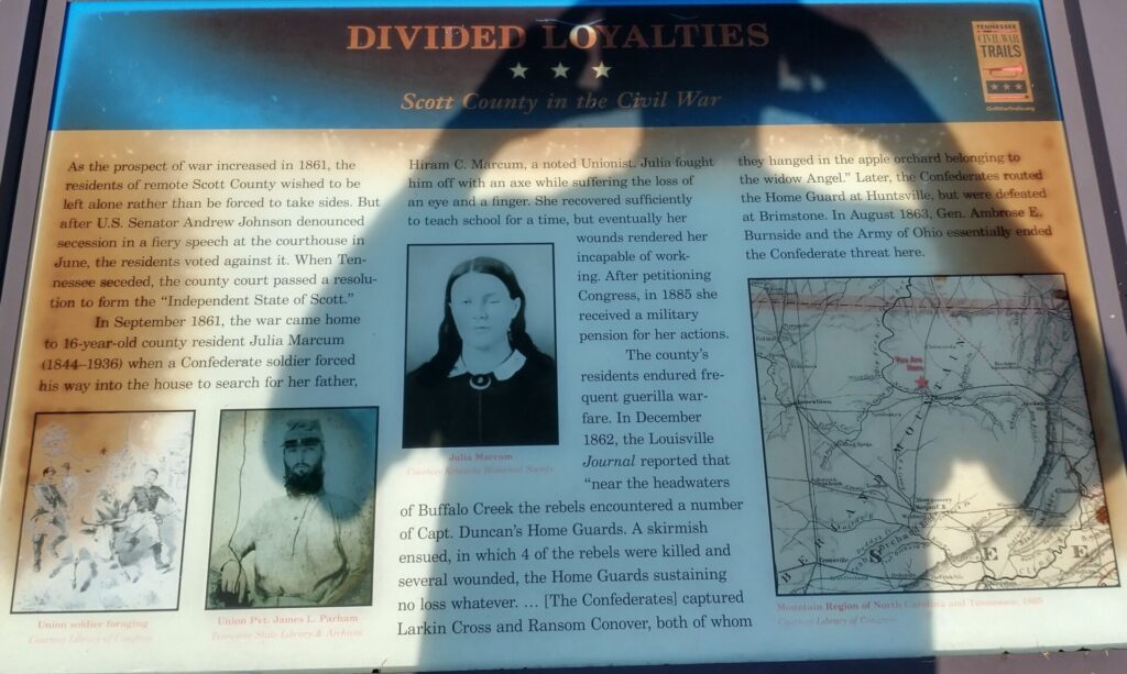 DIVIDED LOYALTIES WAR MEMORIAL PANEL
