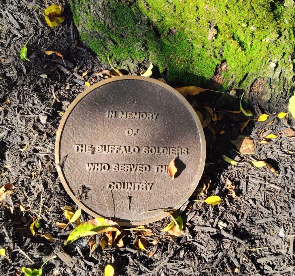 TROY BUFFALO SOLDIERS MEMORIAL TREE PLAQUE