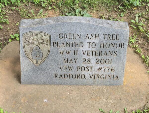 GREEN ASH TREE TO HONOR WW II VETERANS MEMORIAL STONE