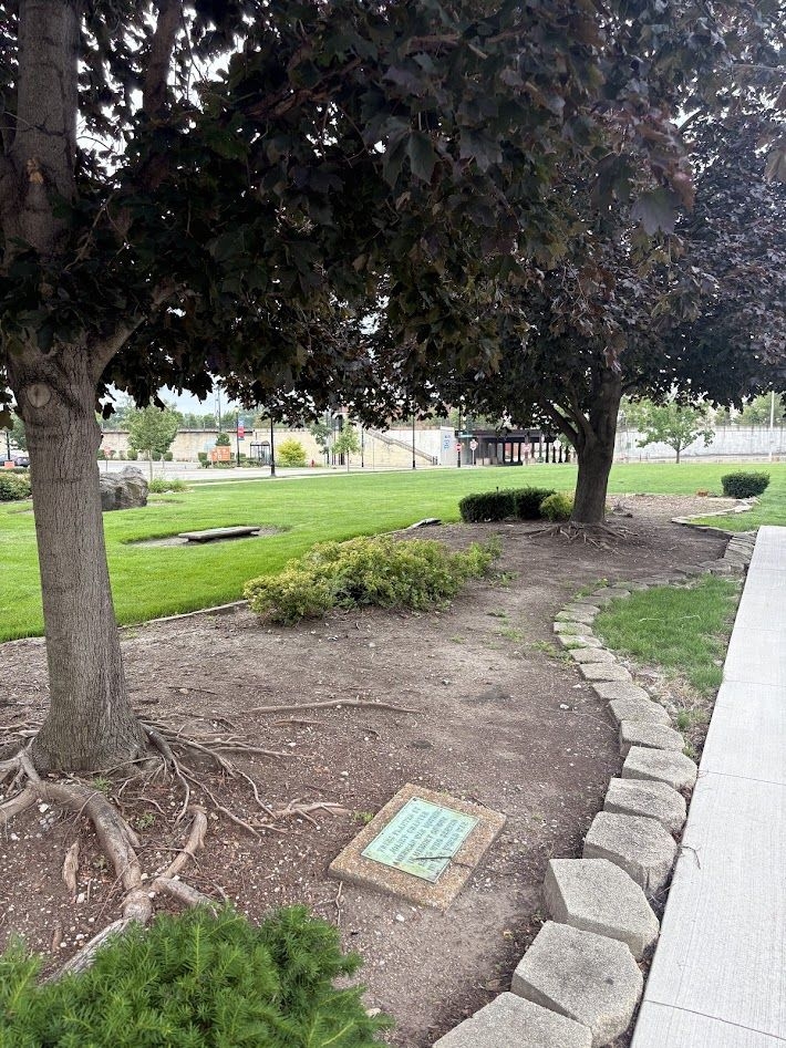 JOLIET CHAPTER AMERICAN WAR MOTHERS MEMORIAL TREES