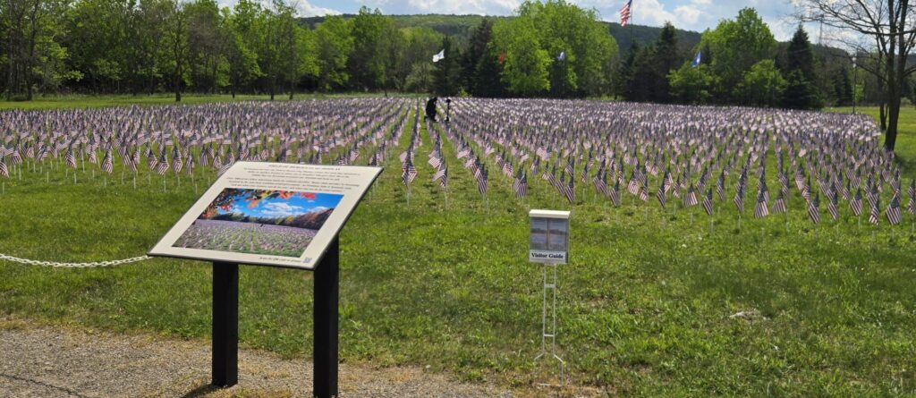 FIELD OF HEROES FLAG DISPLAY WAR MEMORIAL