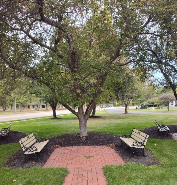 HOBART CORPORATION IN MEMORY OF OUR VETERANS MEMORIAL TREE