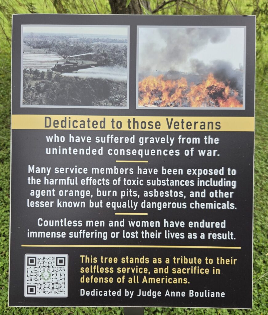 DEDICATED TO THOSE VETERANS MEMORIAL TREE PLAQUE
