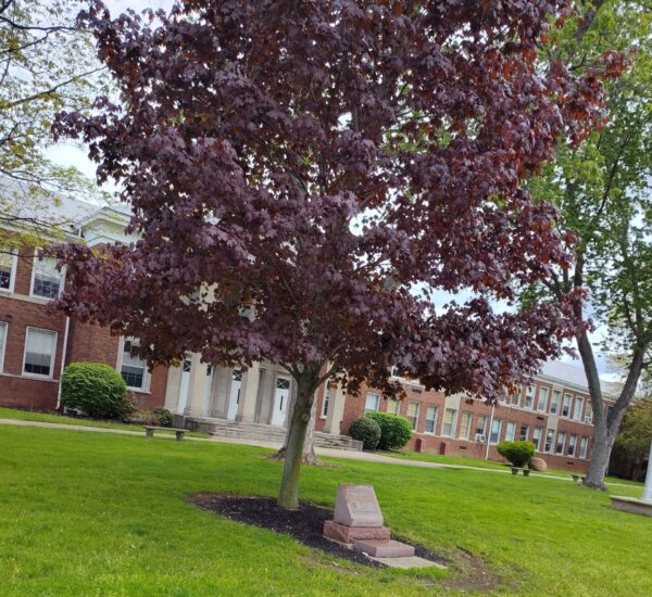 PYRAMID OF REMEMBRANCE MEMORIAL TREE