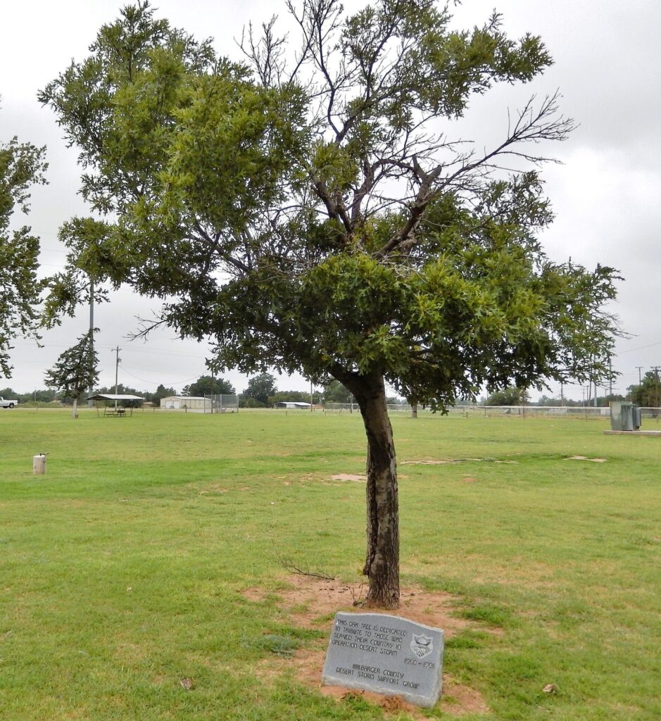 WALBARGE COUNTY DESERT STORM OAK TREE MEMORIAL